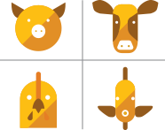 FEED