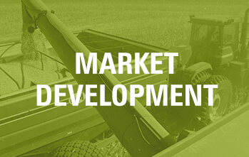 topics-market 2