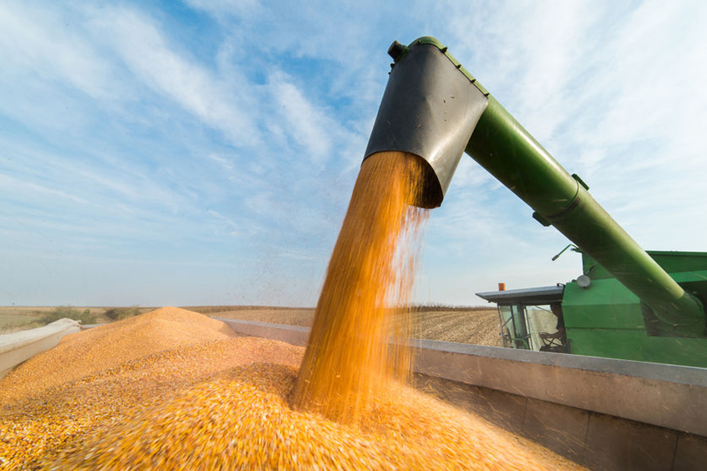 Colorado Corn Growers Association Sees Progress with Adjustments to ...