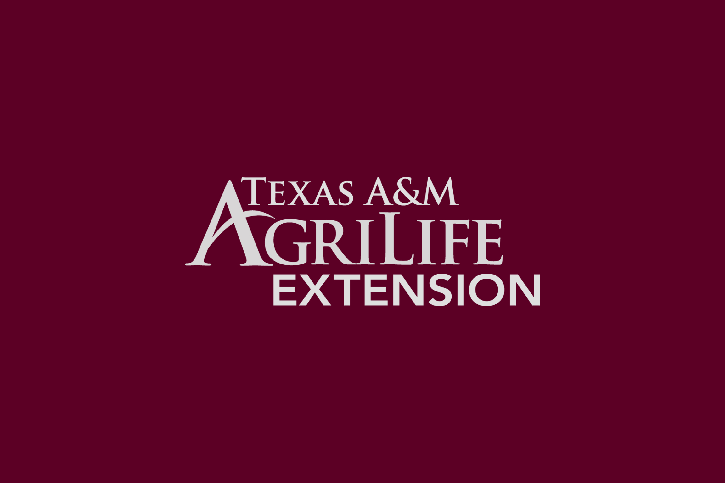texs-a&M